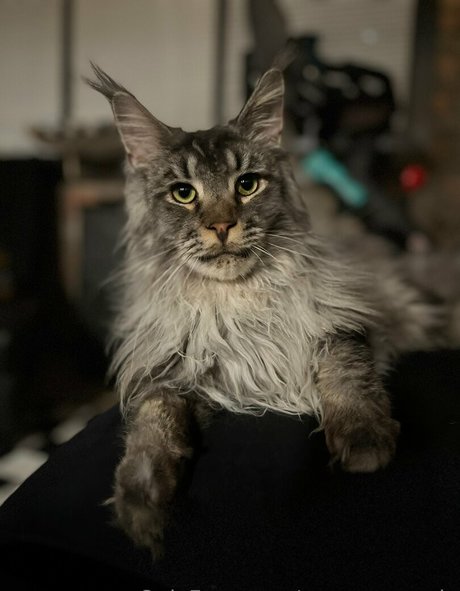 sperry69 pornstar best pictures