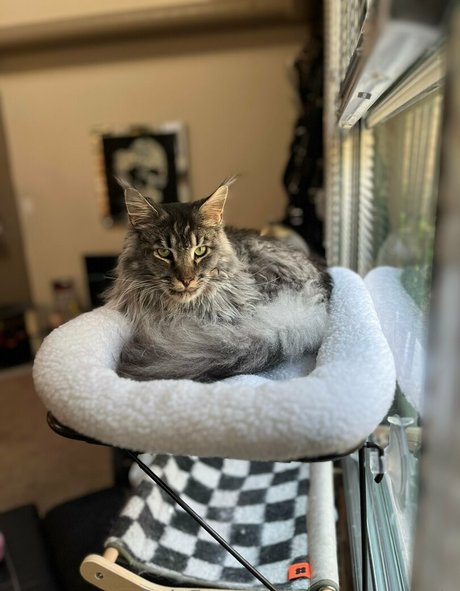 sperry69 star top pics