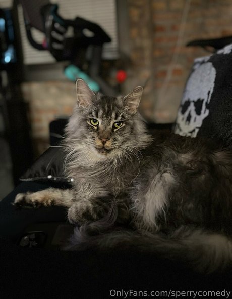 sperry69 high quality model pic