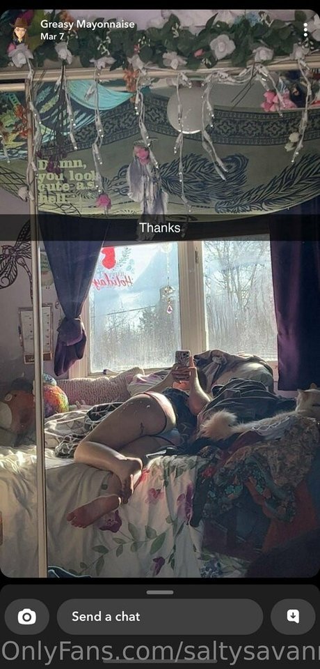 saltysavanna03 star high quality picture