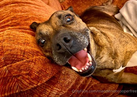 mandersoncooperfree pretty pornstar pictures