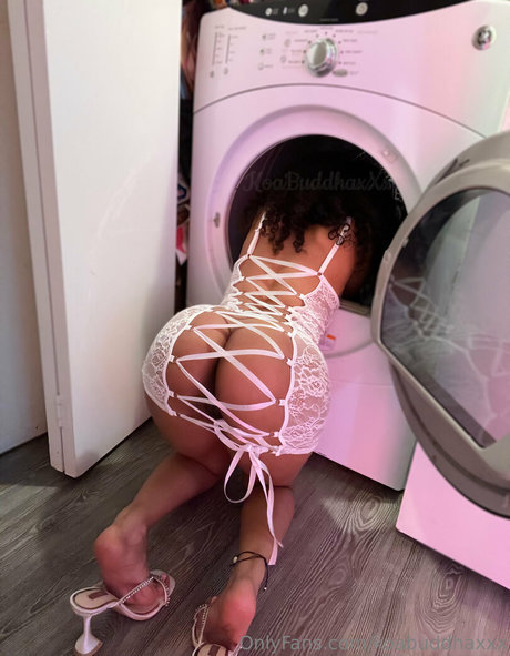 koabuddhaxxx erotic star image