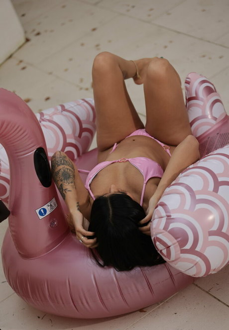 llolarose model top pics