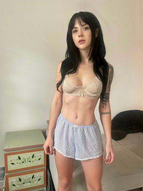 Frankiebunnie beautiful star image