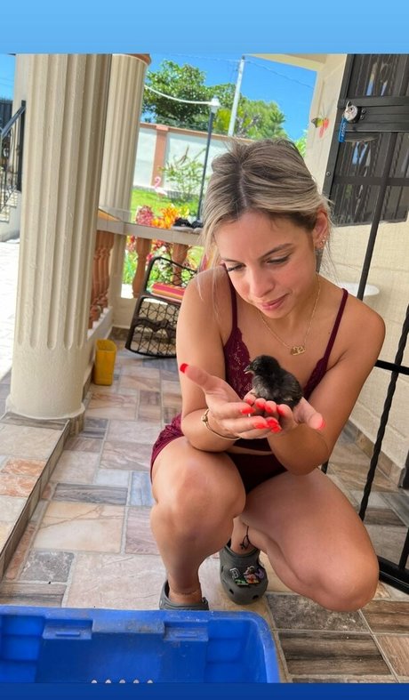 Solibeth Brito xxx actress pics