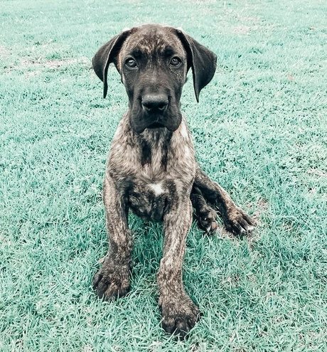 Cobyymj hd pornstar archive