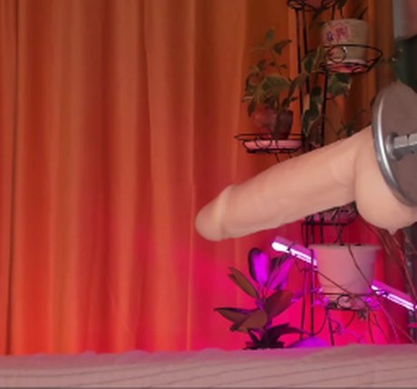 Aplaceforustodream sexy pornstar pic