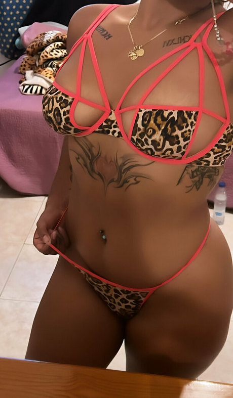 d ccdo7 perfect model images