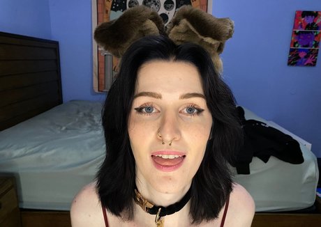 AnnieDro star nice pic