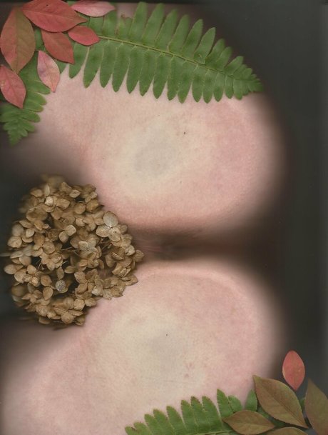 bb apathy free actress gallery