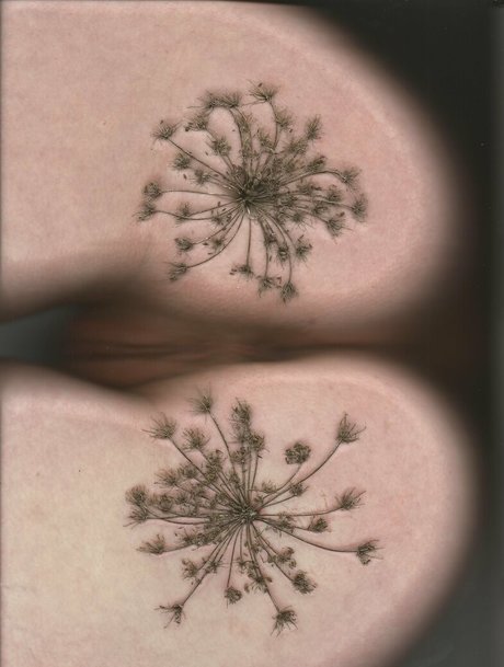 bb apathy best actress img