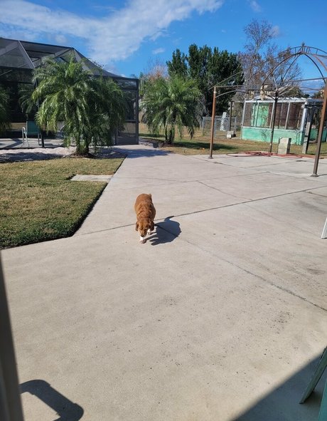 heavenlyterp model erotic pics