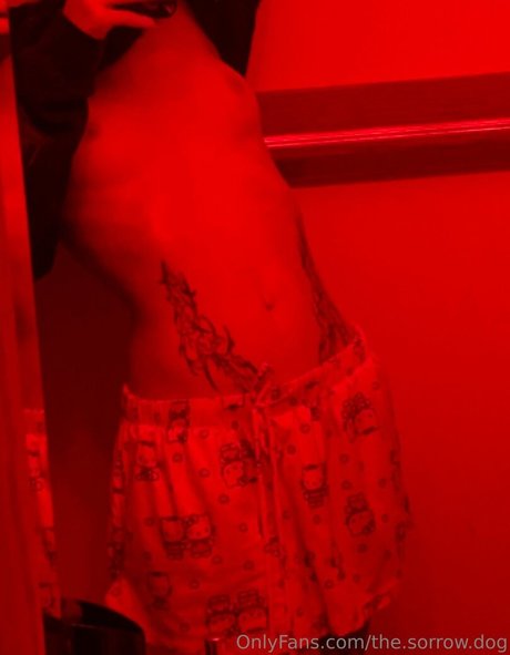 the sorrow dog star adult image