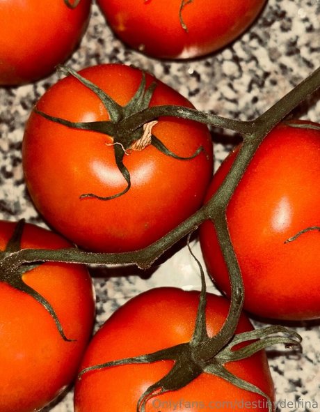 destinydelfina sexy actress images