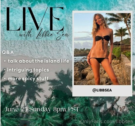 libbsea model nice pictures