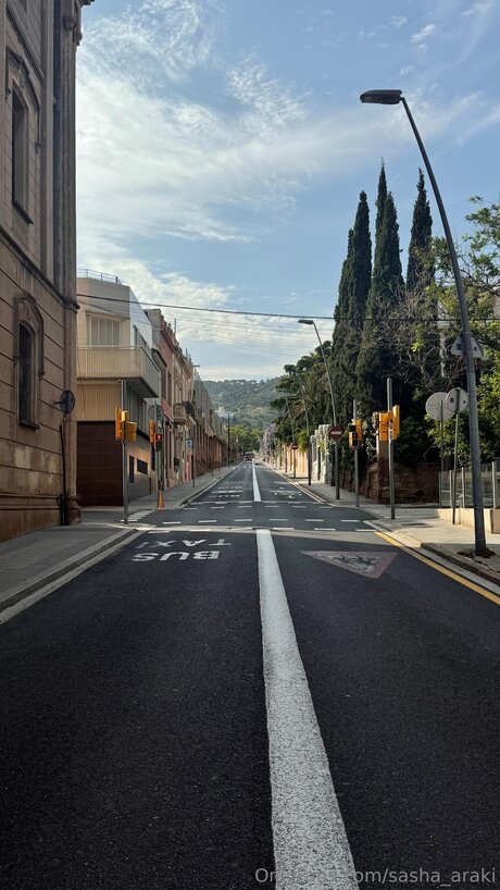 sasha araki perfect pornstar img