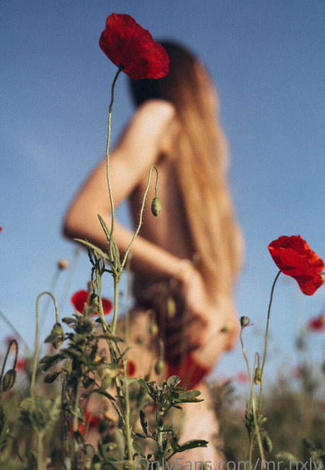 mr hxly star free pic