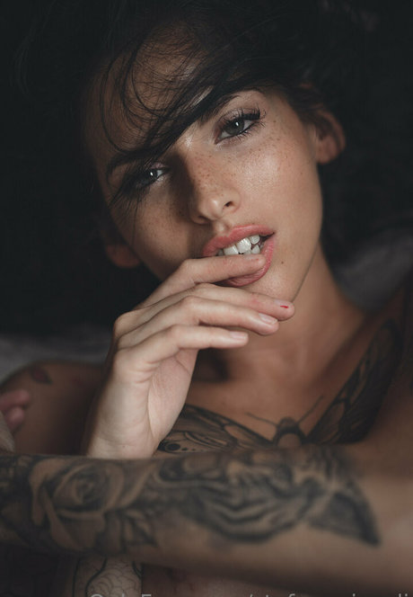 stefanogirardi free pornstar pictures