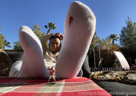 wild boar giant hot actress images