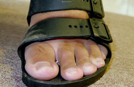 wild boar giant pornstar adult galleries