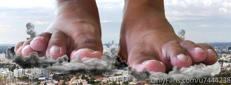 wild boar giant star free pictures