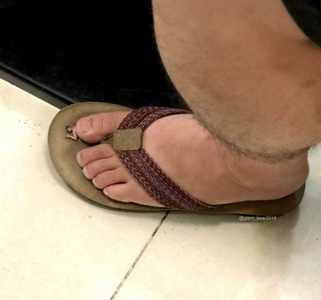 wild boar giant pornstar hd gallery