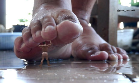 wild boar giant sex pornstar image