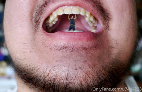 wild boar giant sex actress gallery