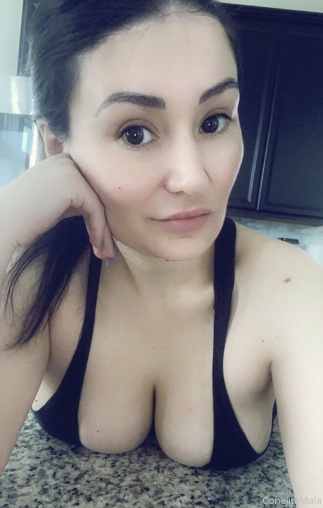 roxxirdz art star gallery