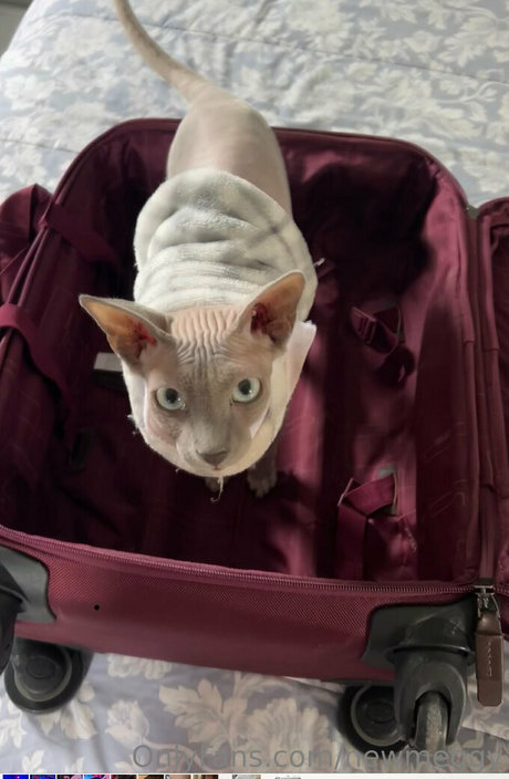 newmeggy star sex photo