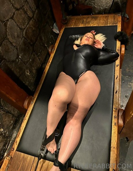 ryleerabbit art pornstar galleries