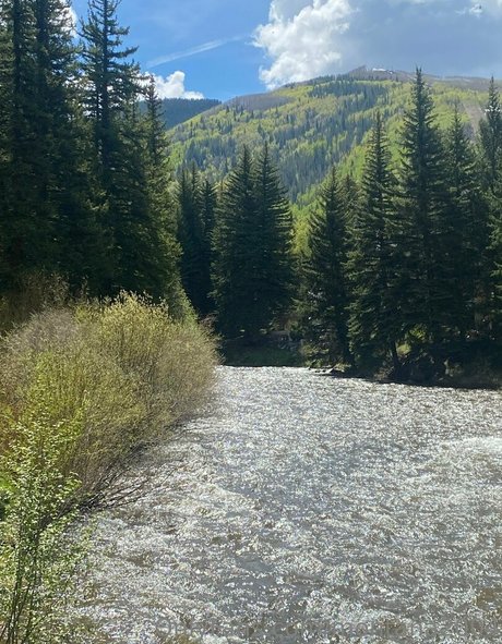 montana2004 nice star gallery