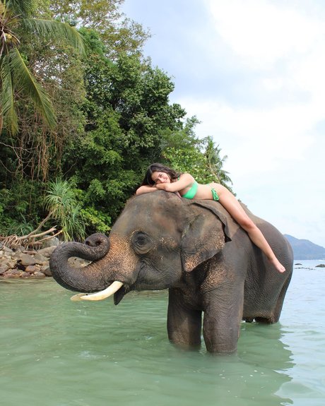 Tatiana Schwartz star adult img