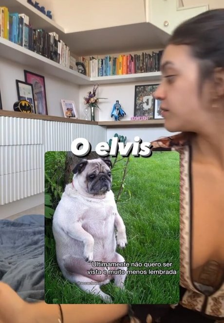 Debora Aladim star free gallery