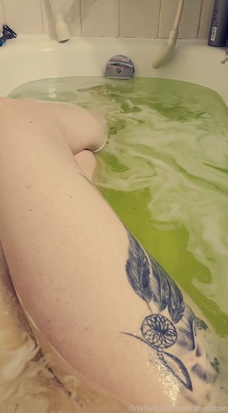 littleeevee66 nudes pornstar pic