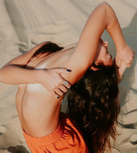 Bar Levy model perfect archive