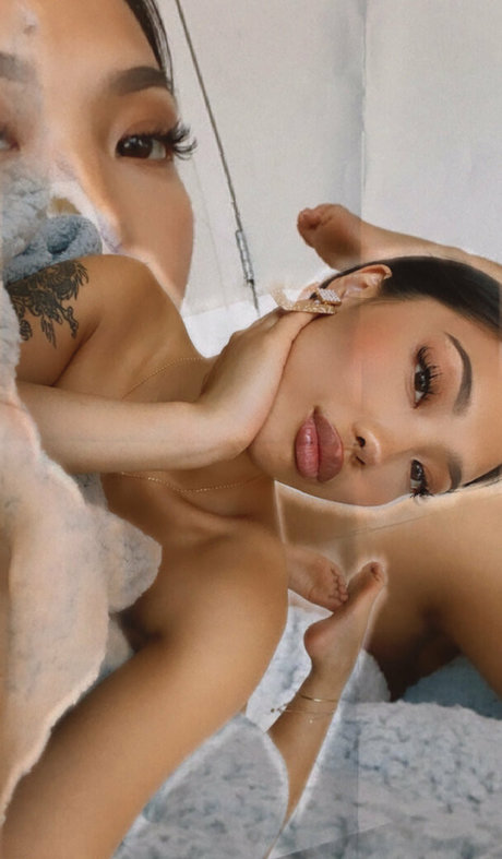 wetaja star nice galleries