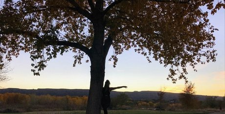 acidaddict star pretty picture