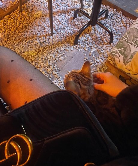 ryydachan hd pornstar images