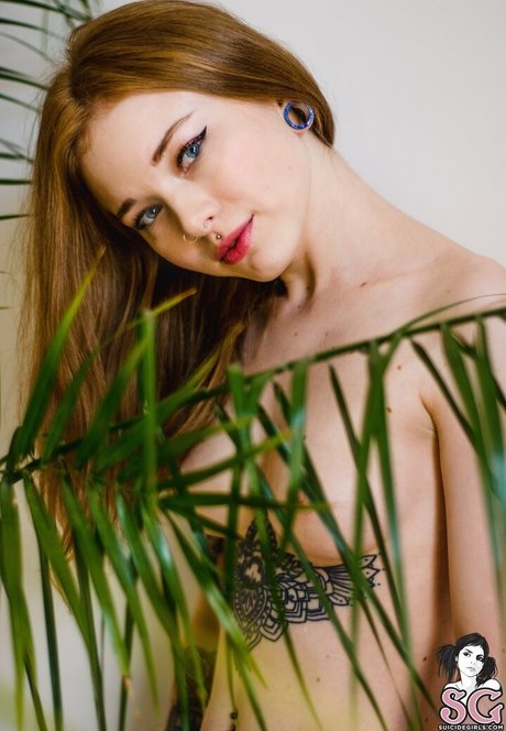 Karnelia pretty star img