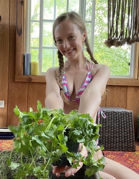 harperlane xxx model archive