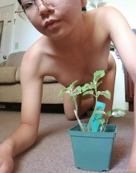 buddingroselia star sexy picture