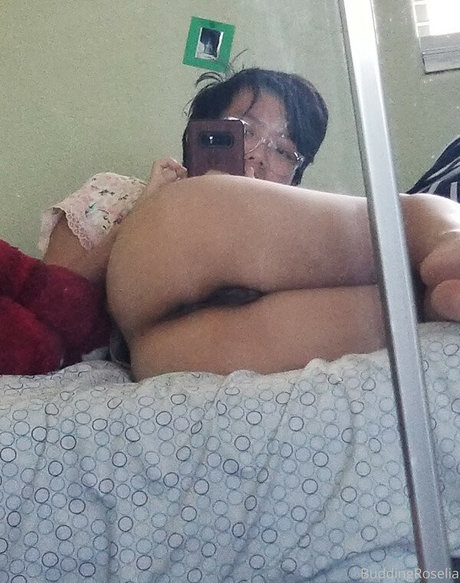 buddingroselia model exclusive archive