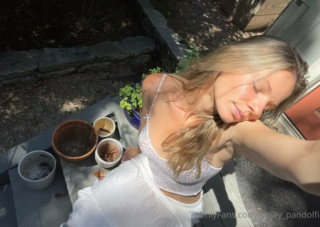 hailey pandolfi actress pics