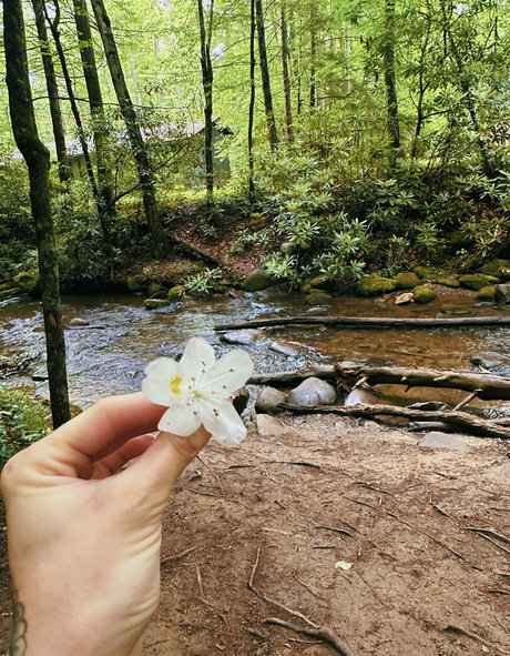 slutty onlyfans art nude image