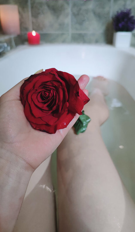 ashera cat model art pics