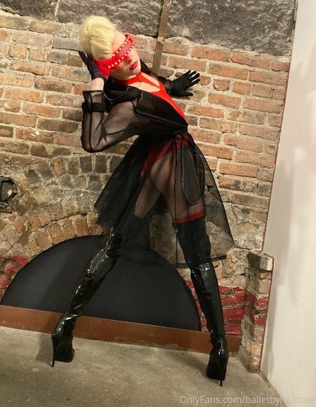 balletbyheather art actress image