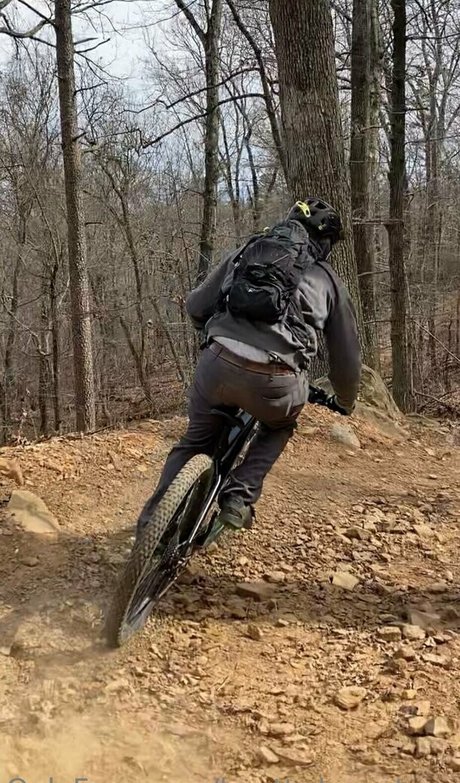 knotty by nature free pornstar picture