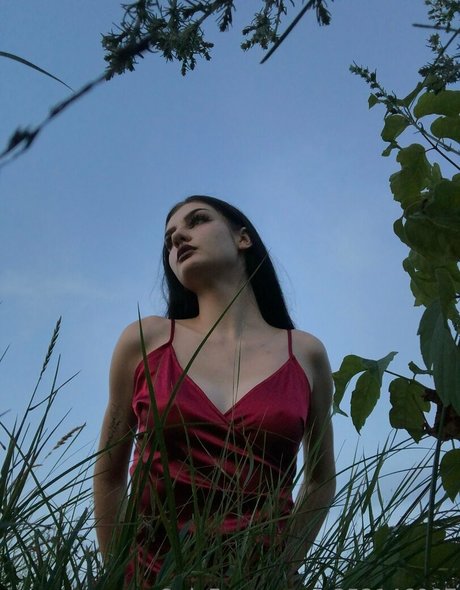 eve in wonderland beautiful star photo