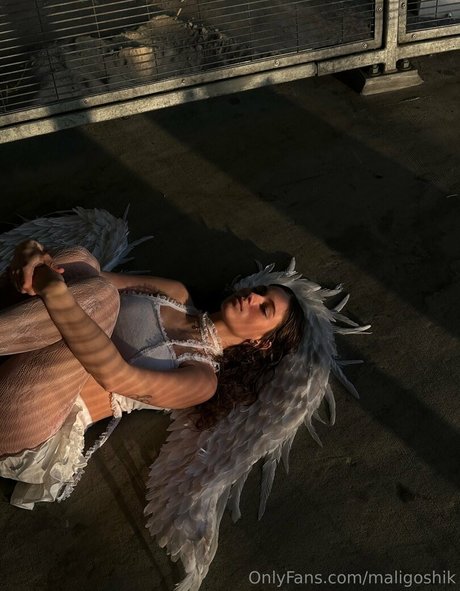 maligoshik star best pictures